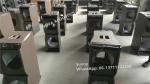 110 Degree Dual 8 Inch 500W Two Way Line Array Loudspeaker