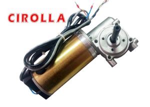 Golden Color Heavy Load Automatic Sliding Door Motor / DC Gear Motor With Encoder 100W 24VDC