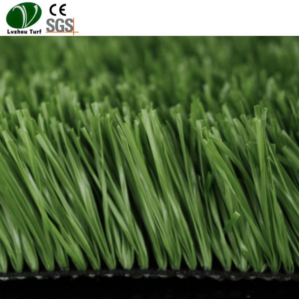 Cheap Synthetic Artificial Grass For Football Ground Garden PE Monofilament Material for sale