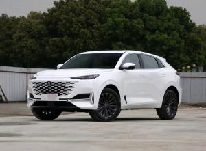 Best UNIK New Energy 2022 Blue Whale IDD 1.5T Zhuoyue Version Hybird Medium SUV wholesale