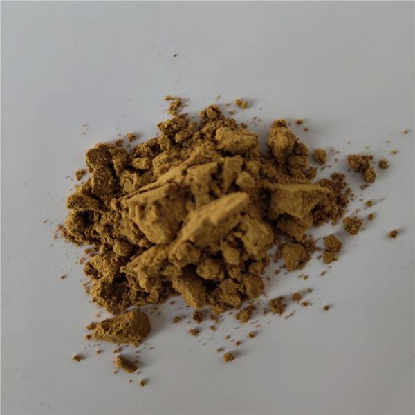 Cheap Medicine Grader Red Onion Extract From Seed for sale