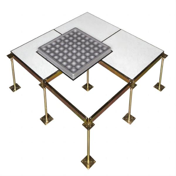 Cheap                  Custom Raised Access Floor              for sale