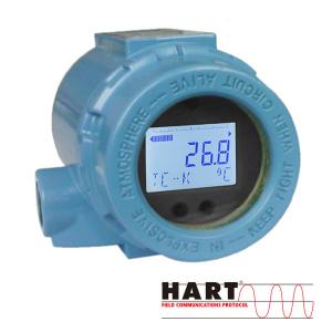Best Custom Field Mounted Temperature Transmitter With RTD TC Input wholesale
