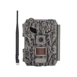 Best 4G Cellular Cloud Server WiFi App Trail Game Camera wholesale