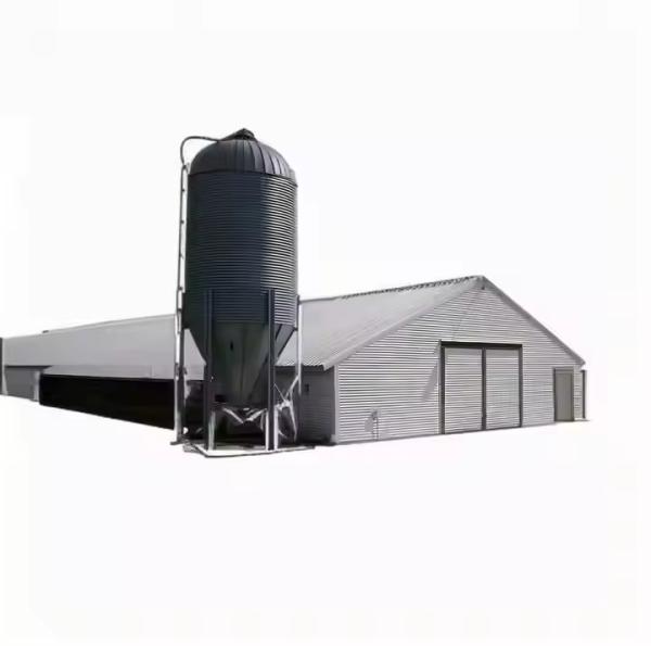 Cheap Customized Steel Structure Chicken House Industrial Weather Resistant for sale