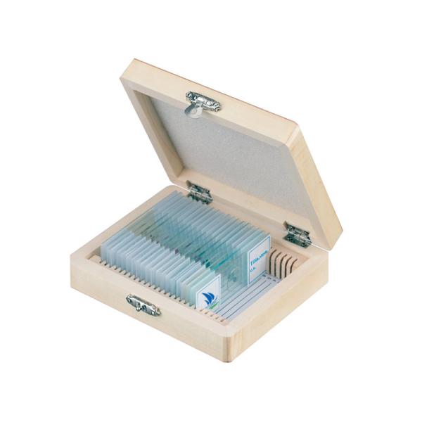 Cheap Biological Microscope Prepared Slides 25Pcs For Science Education for sale