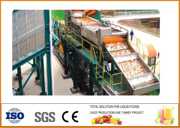 Cheap 10T/H Citrus Processing Line , Automatic Sus304 Orange Juice Processing Equipment for sale