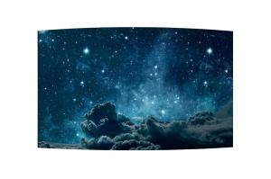 High Resolution Transparent OLED Panel / Curved OLED Display Ultra Slim