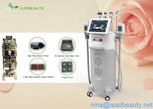 2016anti freeze cryo  machines with 2000W Input Power Multi-functional
