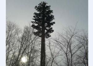 Best Camouflaged Bionic Pine Palm Tree Monopole Tower wholesale
