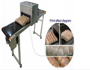 Best Automatic Single Row Egg Printing Machine With Small Solvent Printer wholesale