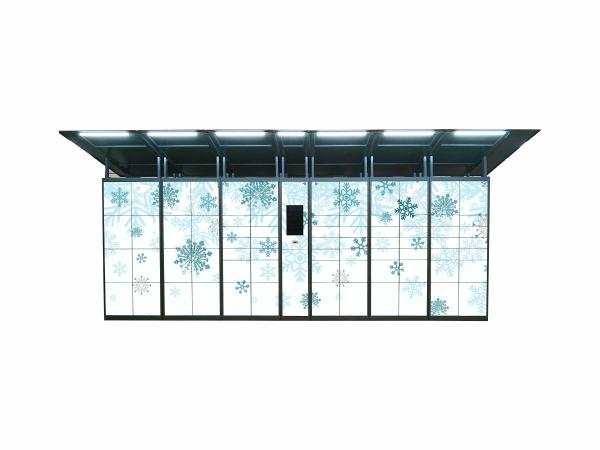 Cheap PIN Code Access Steel Parcel Locker For Delivery Service Remote Control Platform for sale