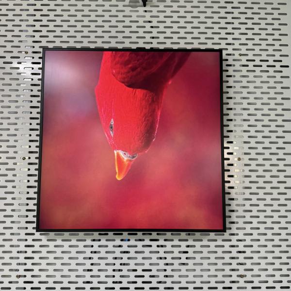 Cheap Resolution 948*948 Square All In One Digital Signage with USB HDMI RJ45 Interface for sale