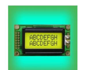 8X2 STN Postive Transflective COB 0802 LCD Module Display
