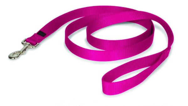 Cheap Strong and Durable Traditional Style Nylon Dog Leash with Easy to Use Collar Hook, Available in Multiple Widths for sale
