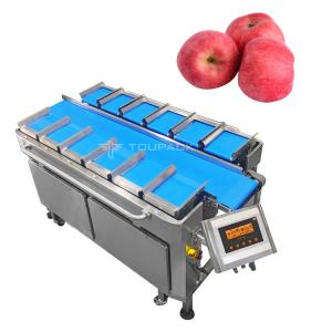 Best Pear Apple Weighing Fruit Combination Scale 12 Head Hand Loading Weighing Machine wholesale