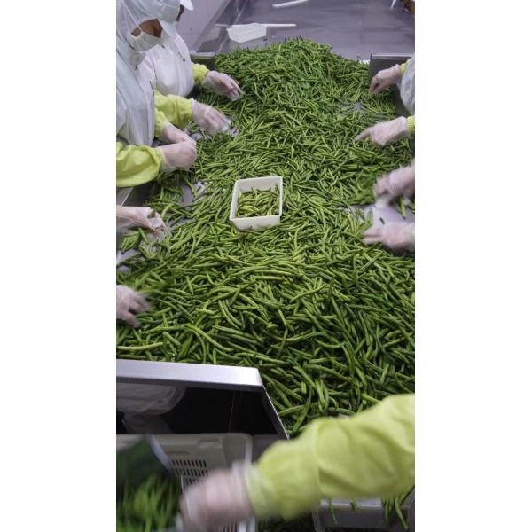 Professional Vegetable Chips Making Machine For Frying Bean 75-110℃ Temperature