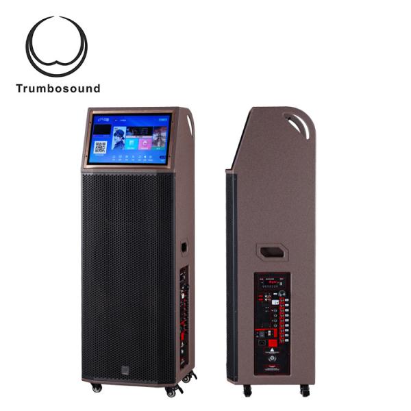 Cheap VOD Portable Multimedia Speaker With Bluetooth Android LCD Display for sale