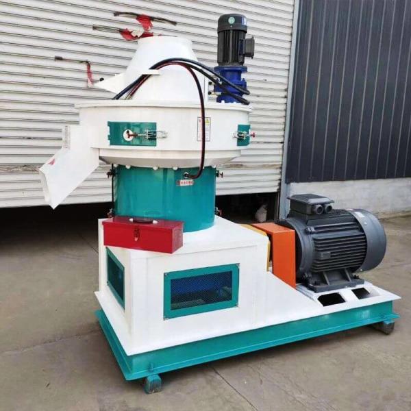 Cheap CE 10mm Small Wood Pellet Mill With Automatic Lubrication System for sale