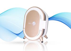 China Professional Facial Skin Analyzer Automatic Test With IPad Operation System on sale