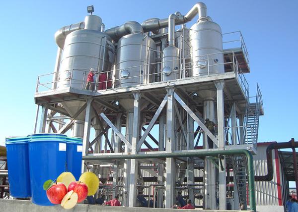 Cheap Multiple Use Apple Processing Line  High Processing Capacity Easy Operation for sale
