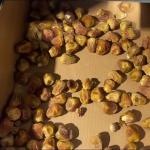 Intelligent Date Sorting Machine Featuring AI Deep Learning Food-Grade Safety