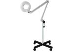 Best Floor Standing Magnifier Lamp , Metal / Plastics Floor Lighted Magnifying Lamp wholesale