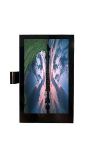 China 4 Inch TFT IPS Capacitive Touchscreen St7789 LCD Display 480x800 Full View on sale