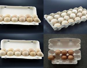 Best Small Capacity Paper Egg Carton Making Machine With ABS Molds Easy Operation wholesale