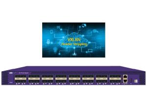 Best Network Packet Broker Http Network Sniffer VXLAN Header Stripping VXLAN Forwarding wholesale