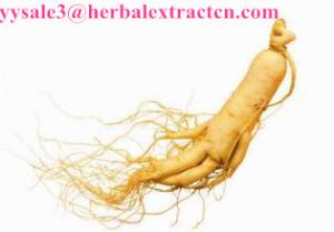 Panax Ginseng Flower P.E., Ginsenosides 80% UV& HPLC, Ginseng berry Extract, Ginseng root Extract, Ginseng stemleaf Ext