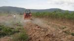 2 Harvesting Rows 1600mm Width Cassava Harvesting Machine