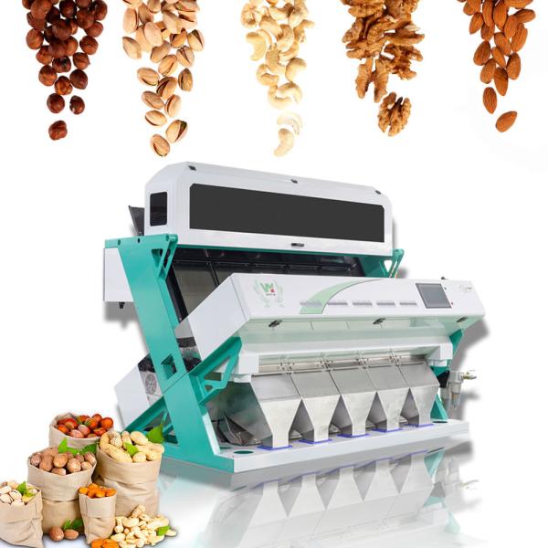 Cheap Wenyao Hazelnut Color Sorting Machine Intelligent Nuts Color Sorter Equipment for sale