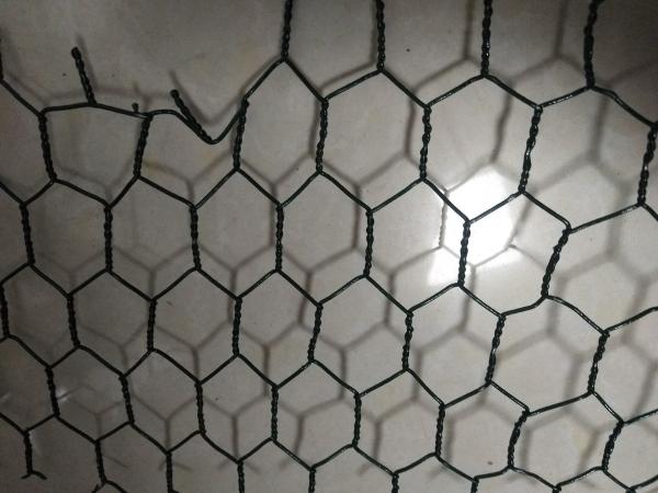 Cheap Green Color Galvanized Hexagonal Wire Netting , Decorative Chicken Wire Mesh for sale
