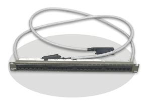 China Ethernet 24 Port Network Patch Panel For Chassis Switch RJ-45 Connectors Flow Control on sale