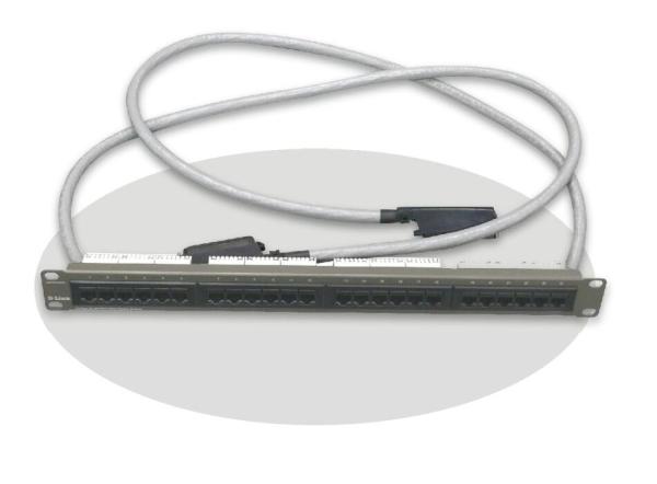 Cheap Ethernet 24 Port Network Patch Panel For Chassis Switch RJ-45 Connectors Flow Control for sale