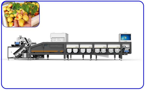 Cheap High Speed Dates Sorting Machine Optical 6.3KW 380V 6 Lanes for sale