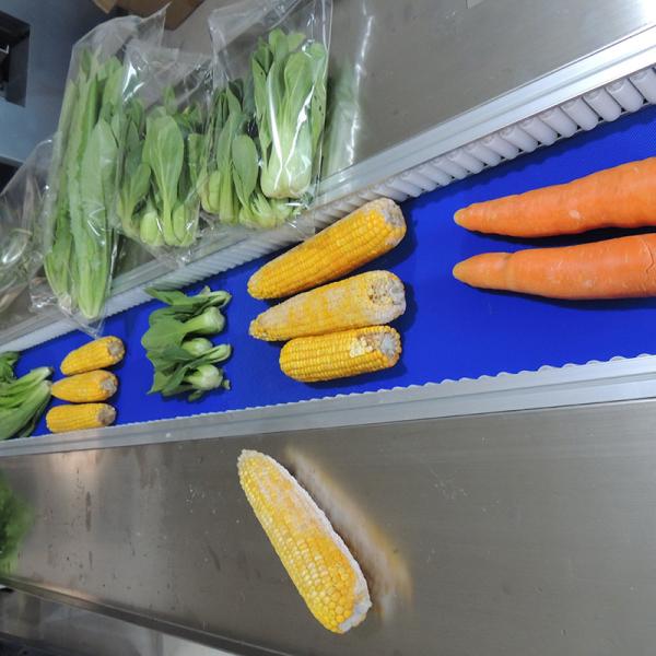 Cheap Multi Function Pillow Type Packaging Machine For Restaurants With Servo Motor Control for sale