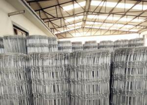 Fixed Hinge Grassland Wire Fence , 2.5mm Galvanized Mesh Wire Fencing
