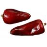 Grade A Dried Red Chili Pods Pungent Xinglong Dried Cayenne Pepper for sale