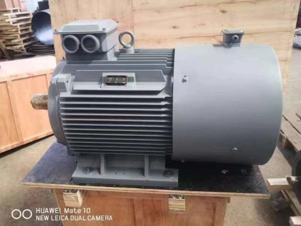 Cheap High Frequency High Output Magnetic Field Permanent Magnet Generators Low Rpm for sale