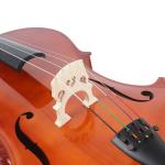 Good Quality Hand Made Solid Spruce Solid Maple Cellos 1/4-4/4 Fingerboards,
