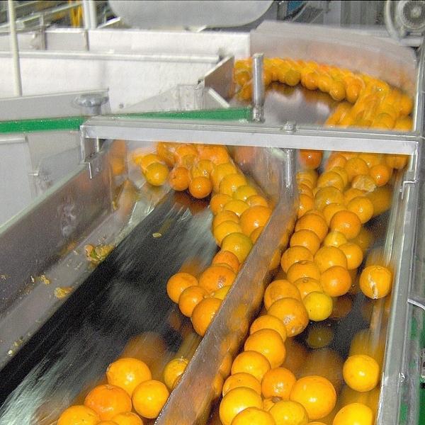 Cheap Citrus / Orange Processing Line For Fruit Juice Factory Juice Factory Machinery for sale