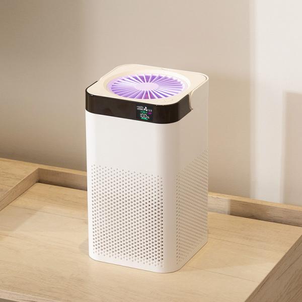 Cheap UVC True HEAP Ionic Air Purifier Near by me for sale
