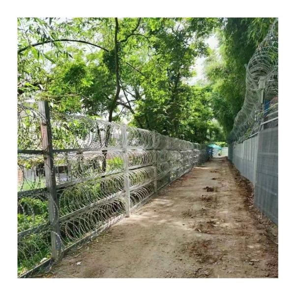 Cheap Hot Dipped Security Fence Barbed Wire Shaving Razor Galvanized Razor Rust Proof Wire for sale