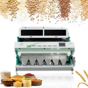 Best 1 - 10 Channels Color Sorting Machine Grain Processing Colour Sorter wholesale