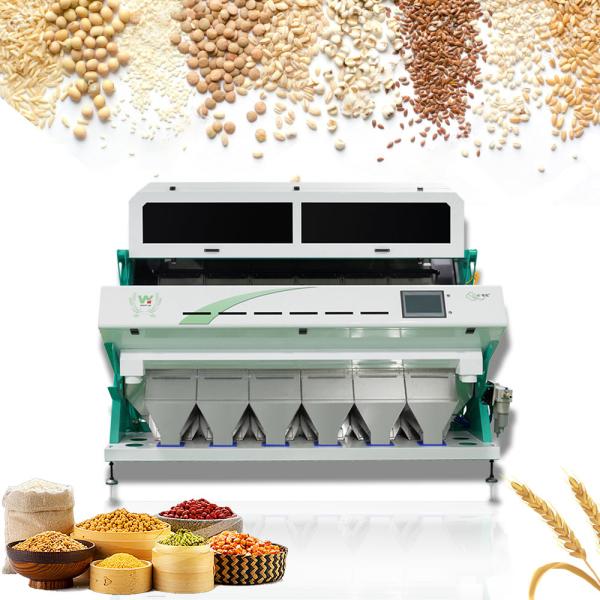 Cheap 5400 Pixel High Accuracy CCD Rosehip Cherry Beans Sorting Machine Wifi Remote control for sale