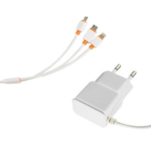 Home Multi Usb Charger , White Color Usb Mobile Charger With Type C Cable