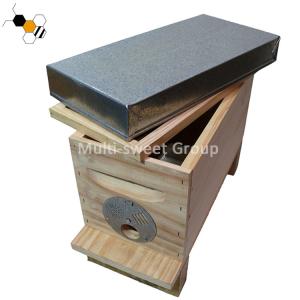Best Bee Hive Equipment Queen Rearing Nuc Box Langstroth Beehive wholesale