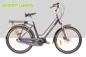 250W 36V Urban City Electric Bike 7.8Ah Samsung Cells